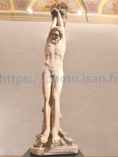 Florence 
