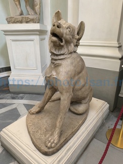 LSAN-IMG 20240418 091714