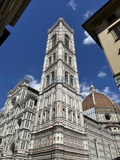 Florence 